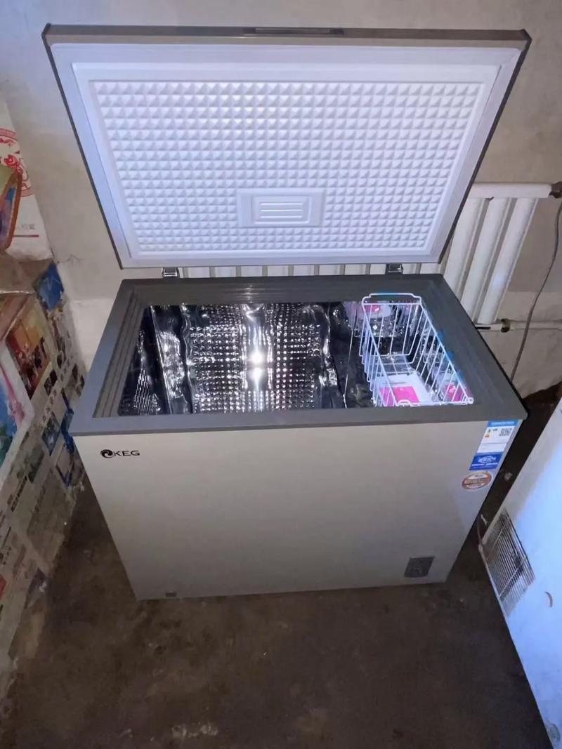 韩电一级耗能食品级不锈钢内胆冷柜——工厂价直供，家用电器焕新首选